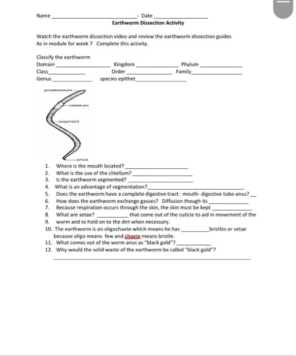 Solved Name Date Earthworm Dissection Activity Watch the