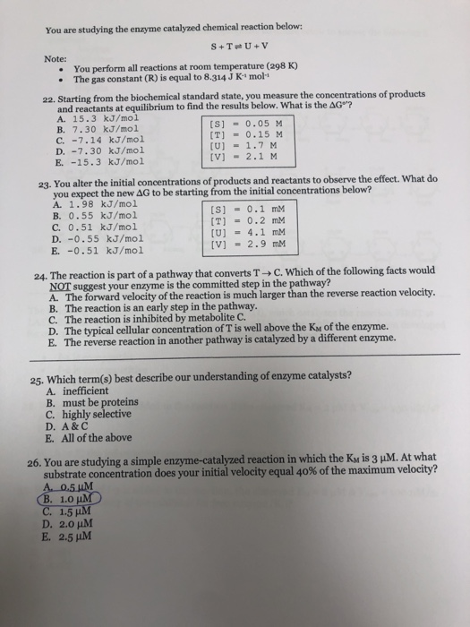 Solved You are studying the enzyme catalyzed chemical | Chegg.com