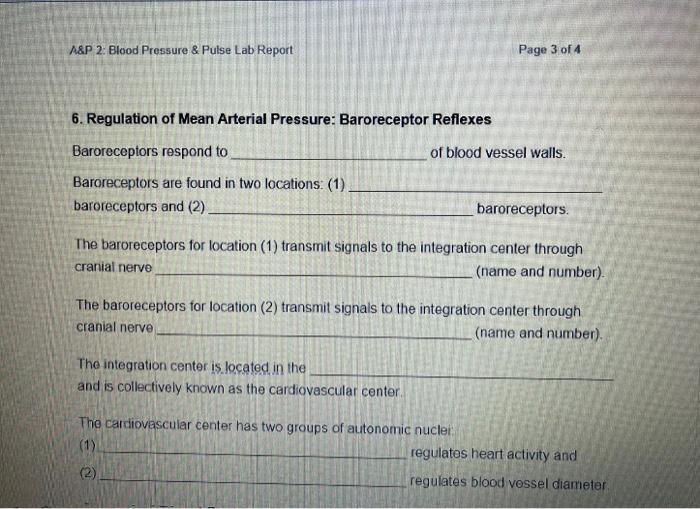 Solved Control of Blood Pressure If mean arterial pressure | Chegg.com
