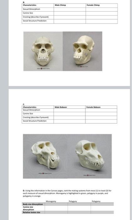 Comparison of the testical, breast, and genitalia sizes of the great apes :  r/Damnthatsinteresting