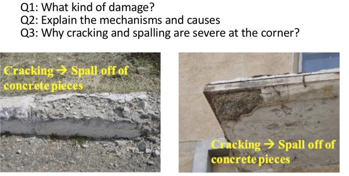 Solved Q1: What kind of damage? Q2: Explain the mechanisms | Chegg.com