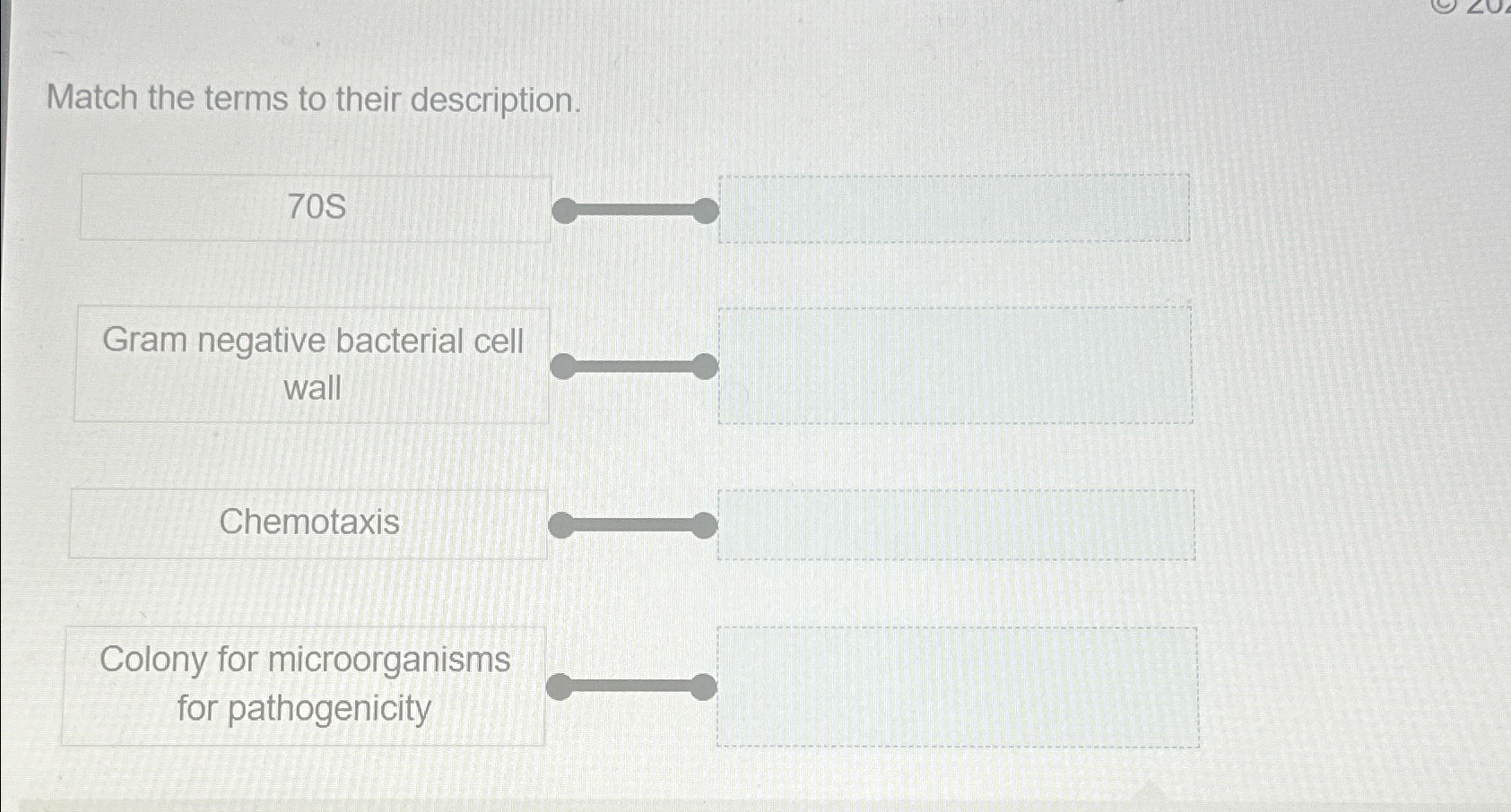 Solved Match The Terms To Their Description Gram Negative Chegg Com