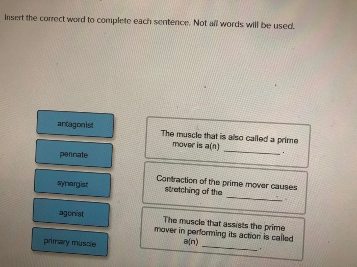 solved-insert-the-correct-word-to-complete-each-sentence-chegg