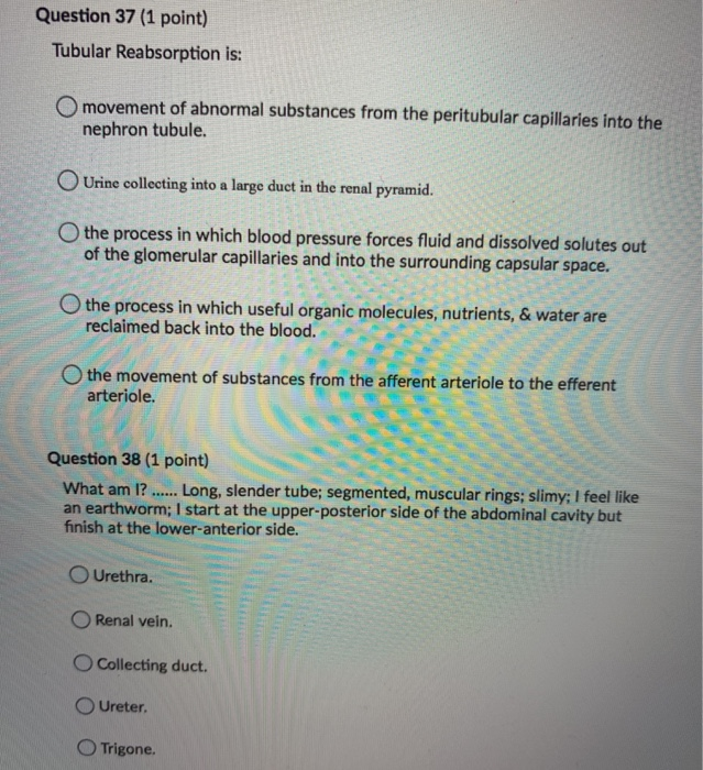 Solved Question 39 (1 Point) Which Of The Following Is True | Chegg.com Solved Question 39 (1 Point) Which Of The Following Is True | Chegg.com