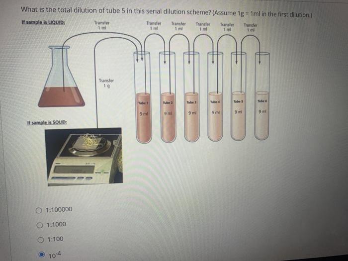 Solved What is the total dilution of tube 5 in this serial | Chegg.com