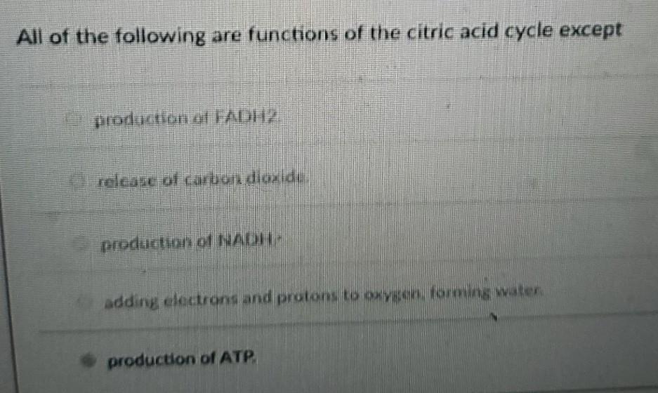 Solved Celery stalks that are immersed in fresh water for