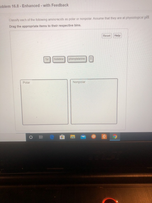 Solved classify each of the following amino acids as polar
