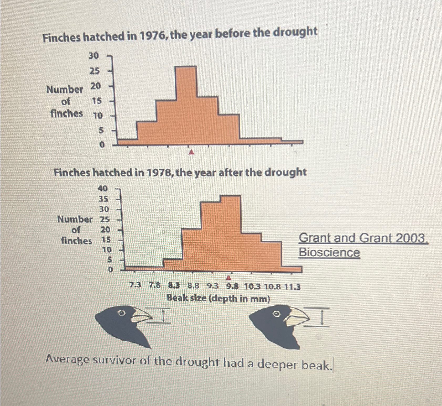 Solved Finches hatched in 1976 , ﻿the year before the | Chegg.com