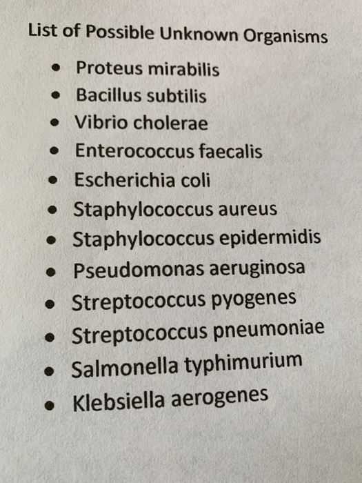 staphylococcus epidermidis endospore stain