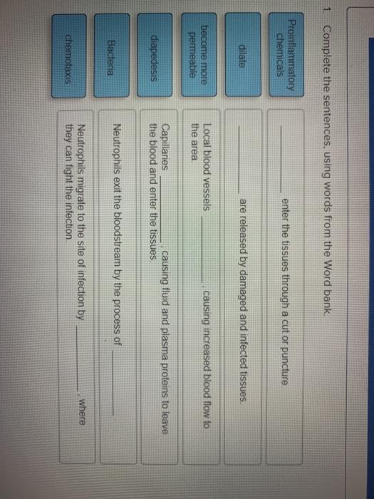 solved-1-complete-the-sentences-using-words-from-the-word-chegg