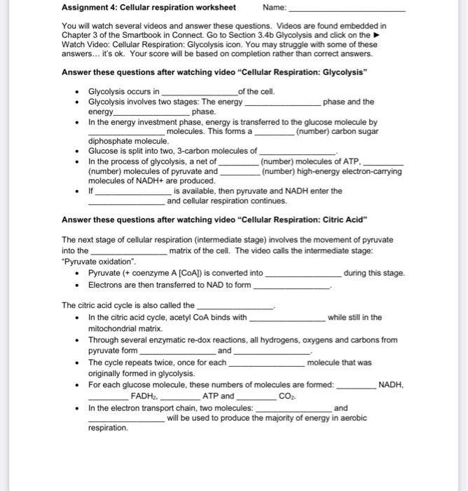 solved assignment 4 cellular respiration worksheet name chegg com
