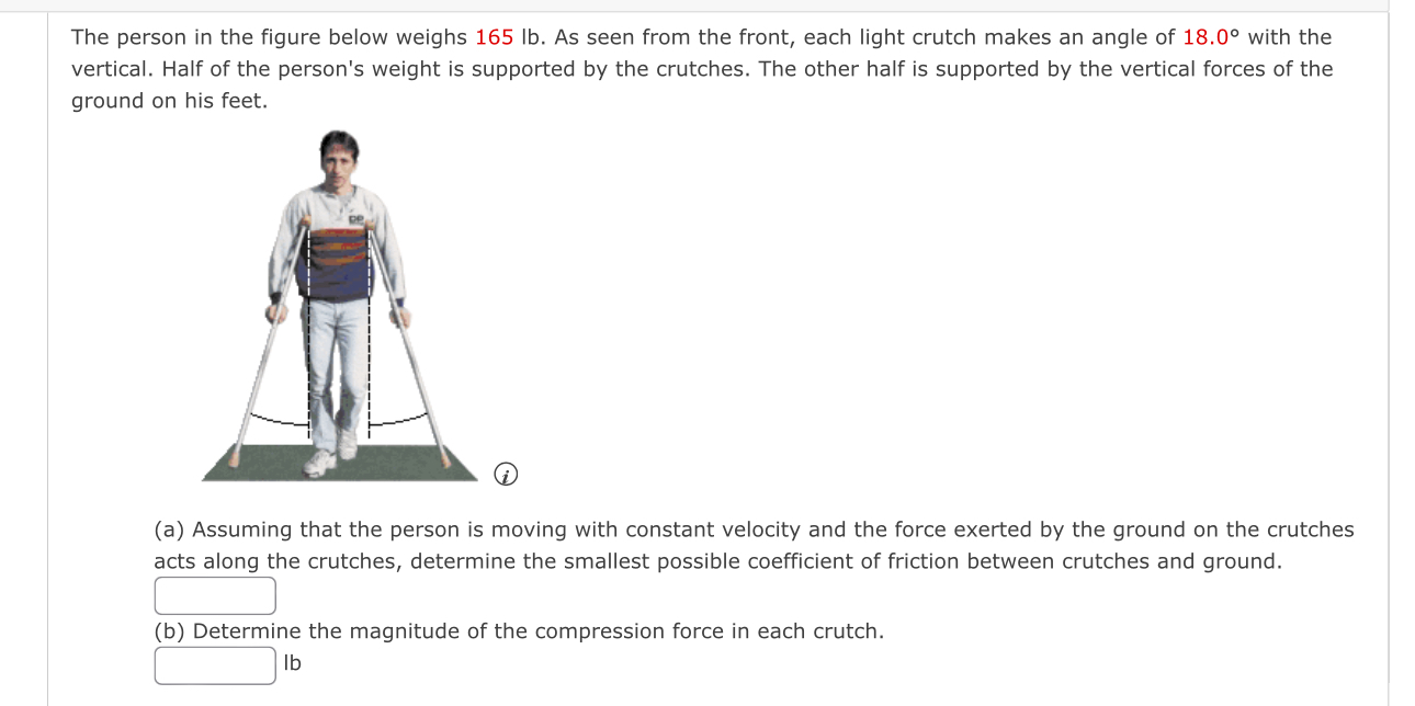 Solved The person in the figure below weighs 165lb. ﻿As seen | Chegg.com