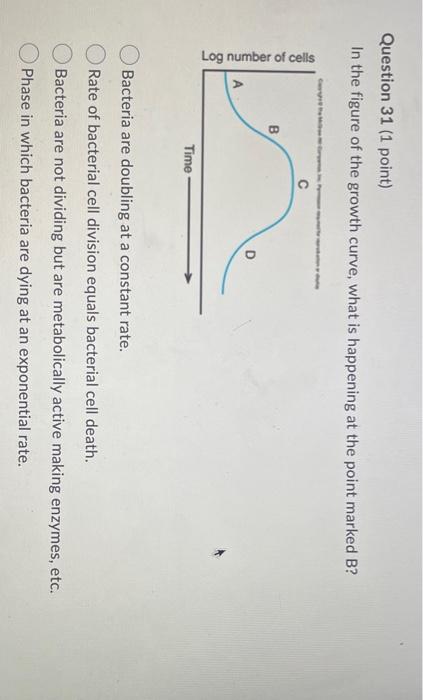 Solved Question 31 (1 point) In the figure of the growth | Chegg.com