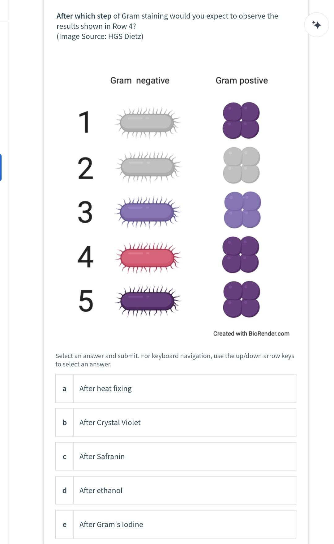 Solved After which step of Gram staining would you expect to | Chegg.com