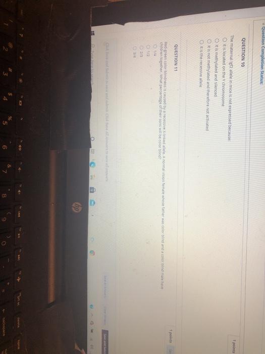 Solved Question Completion Status QUESTION 10 1 points The | Chegg.com