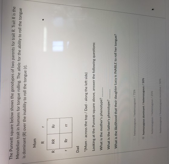 Solved The Punnett square below shows the genotypes of two | Chegg.com