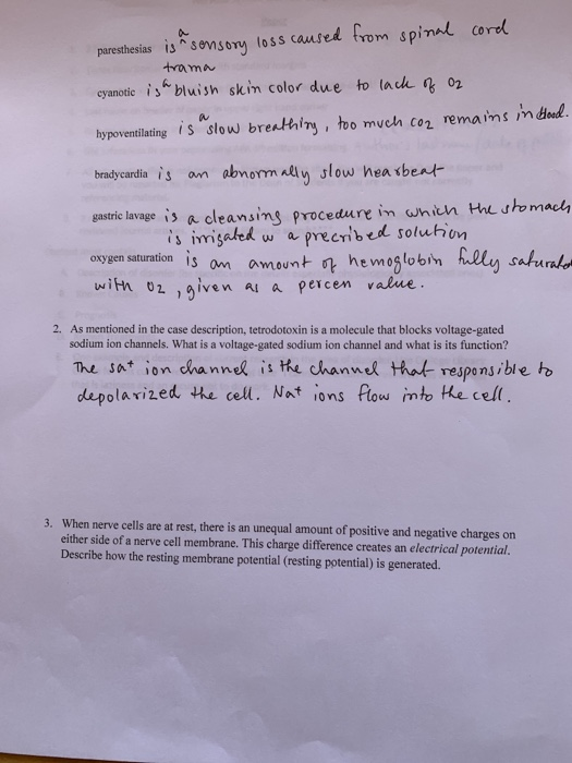 Gaudete et exsultate summary image