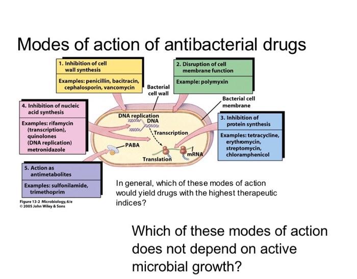 Solved Modes of action of antibacterial drugs In general, | Chegg.com