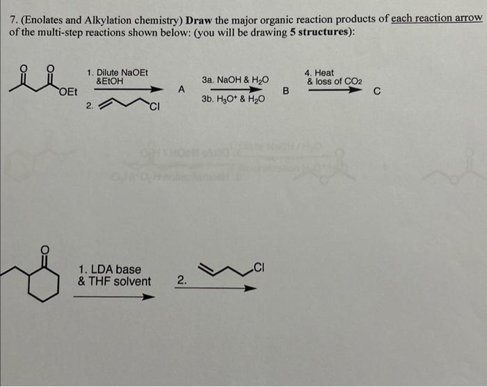 Solved 7. (Enolates and Alkylation chemistry) Draw the major | Chegg.com