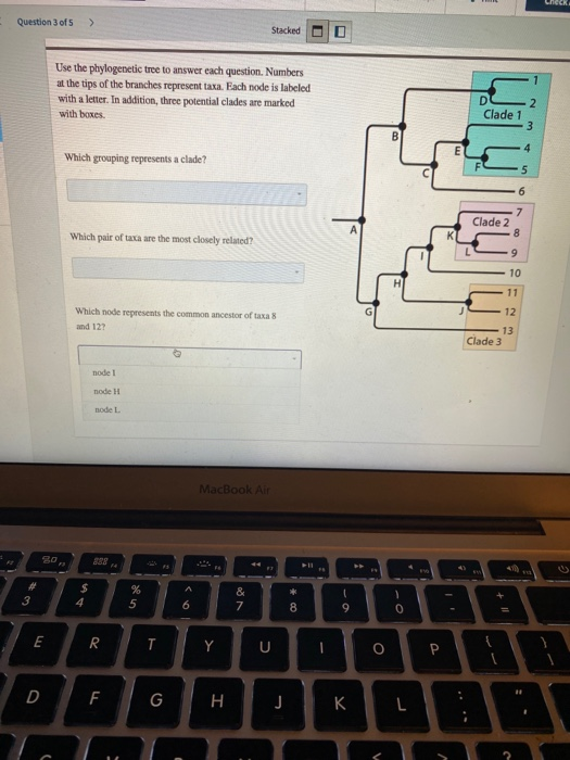 Solved Use the phylogenetic tree to answer each question. | Chegg.com
