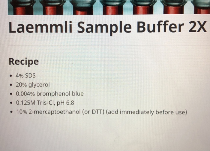 2x Sds Sample Buffer Recipe Deporecipe.co