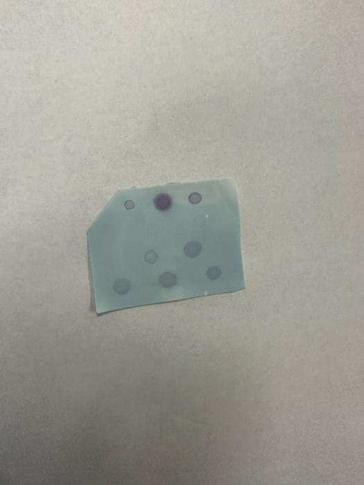 Solved experiment done affinity chromatography please