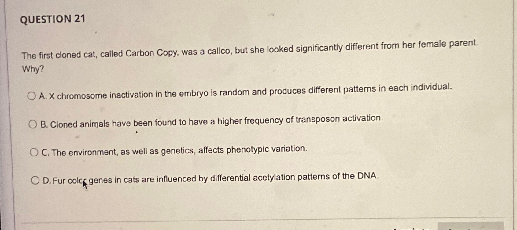 Solved QUESTION 21 The first cloned cat, called Carbon Copy, | Chegg.com