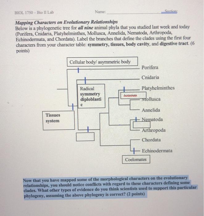 Solved BIOL 1750 Bio II Lab Name Section Mapping Chegg