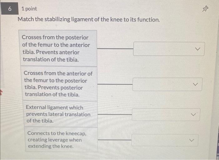 Solved Match the stabilizing ligament of the knee to its | Chegg.com