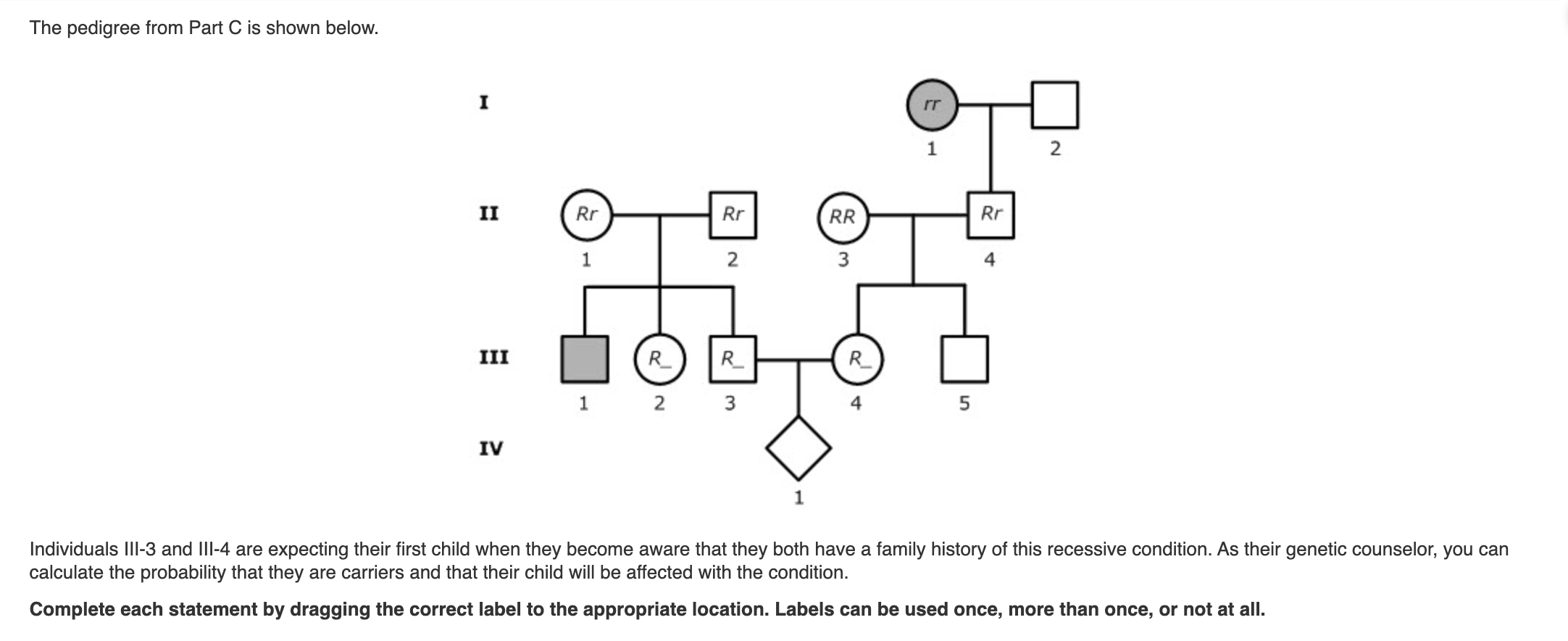 Solved The pedigree from Part C is shown below.Individuals | Chegg.com