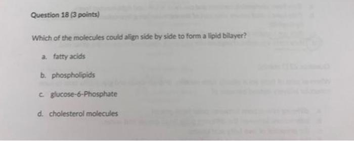 Solved Question 18 (3 points) Which of the molecules could | Chegg.com