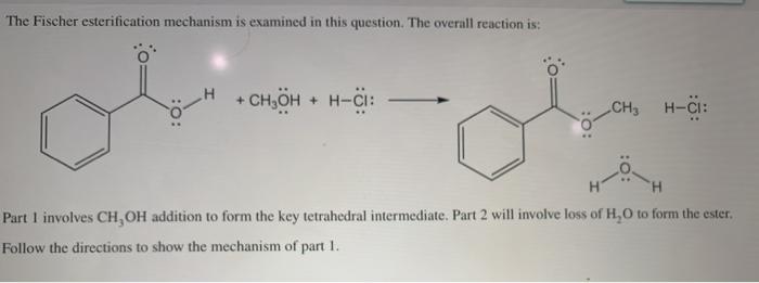 Solved The Fischer Esterification Mechanism Is Examined I Chegg Com