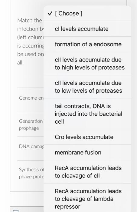 Solved Match the steps of a bacterial cell infection by a | Chegg.com