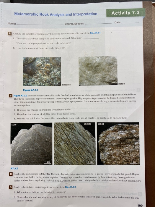Solved Metamorphic Rock Analysis and Interpretation Activity | Chegg.com