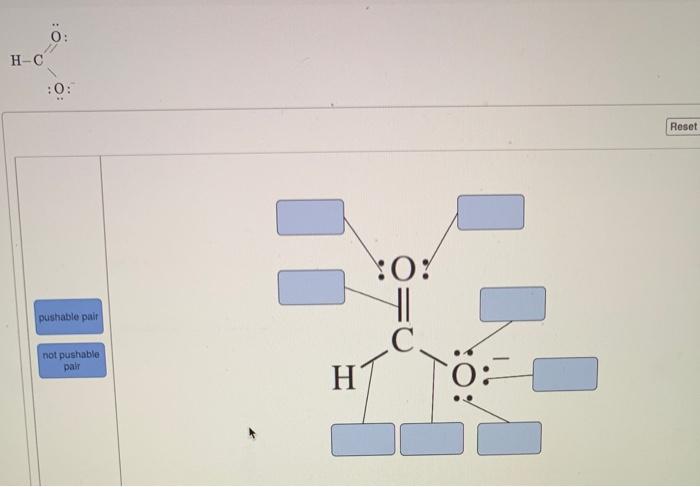 Solved in the following molecules, Identity all puthable | Chegg.com