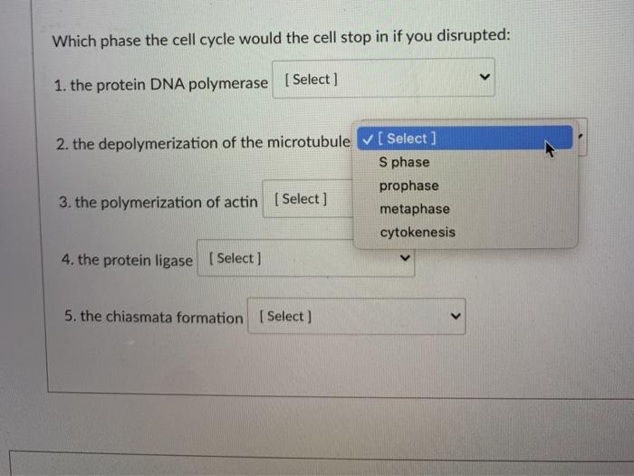 Solved Which phase the cell cycle would the cell stop in if | Chegg.com