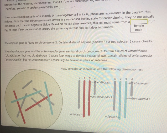 Solved 3. Meiosis produces variation The fruit fly