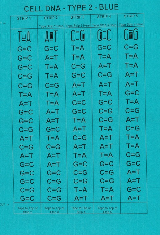 CYT 1 Thin Strips Stepping On As Dasd  Asd3wqrastfaczxczxczxcvsgsdgsdfasdasdasdasdasdasdaedawdwaasdasd Asdasd S  Rosie111 From 2.369,02 €