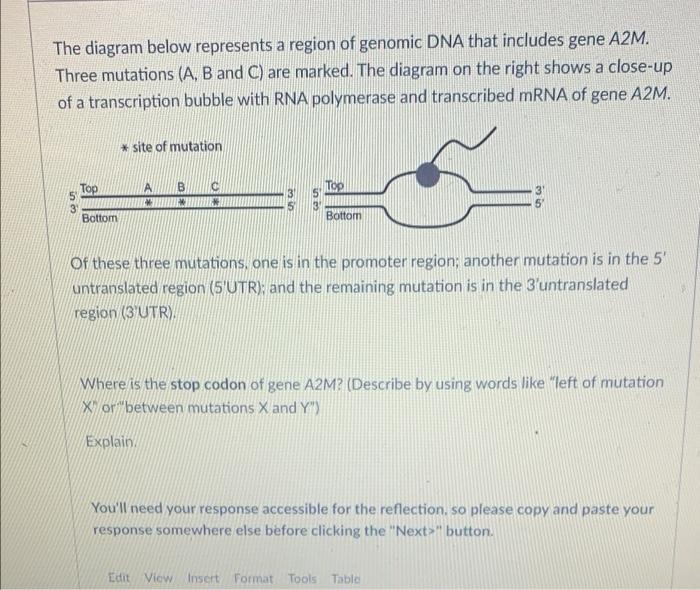 Solved The diagram below represents a region of genomic DNA | Chegg.com
