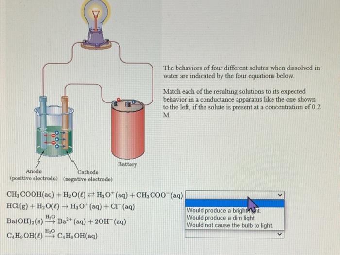 Solved The behaviors of four different solutes when | Chegg.com