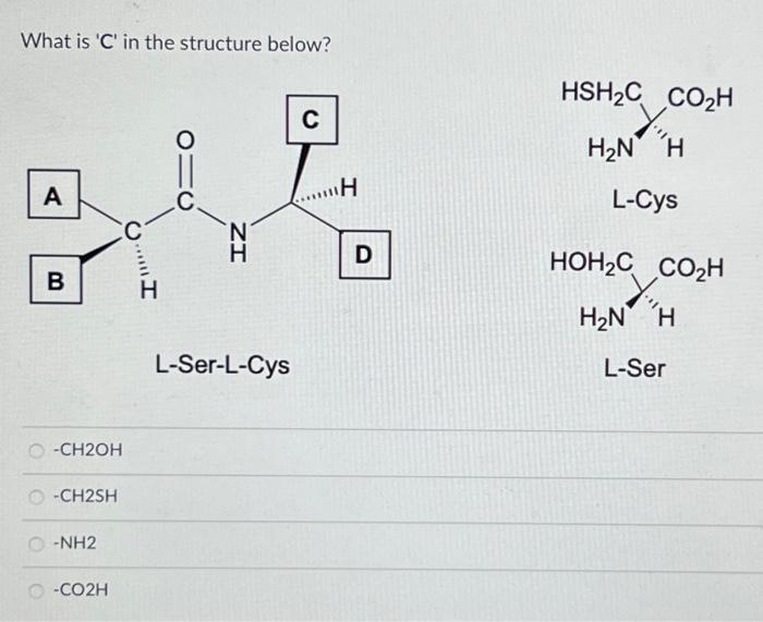 Solved What is ' C ' in the structure below? −CH2OH - CH2SH | Chegg.com