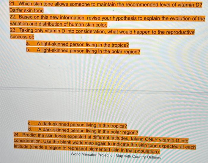 🌈 The evolution of human skin color answers. Evolution of human skin