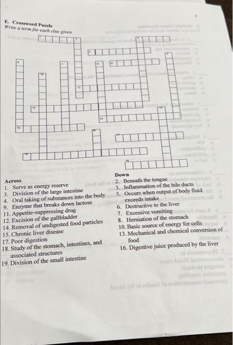 Solved E Crossword Puzle Write a term for each clue given Chegg com