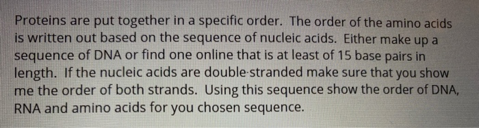 Solved Proteins are put together in a specific order. The | Chegg.com