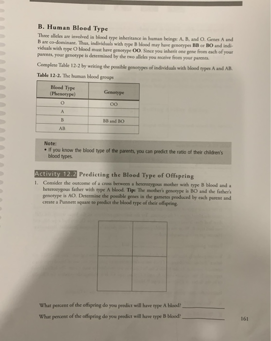 What Alleles Make Type O Blood