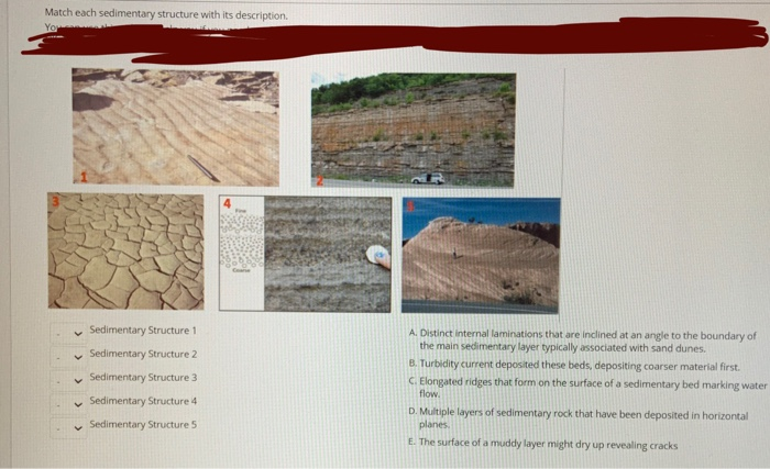 Solved Match Each Sedimentary Structure With A Location | Chegg.com