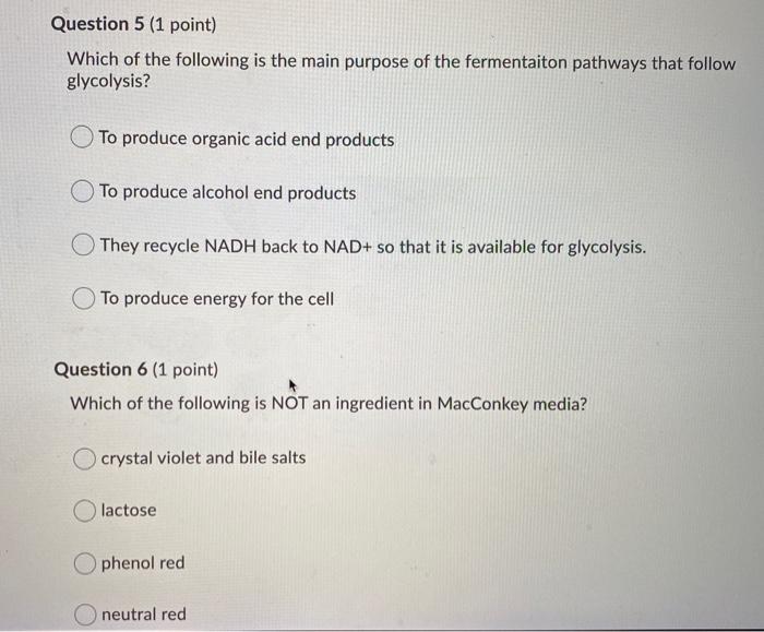 Solved Question 5 (1 point) Which of the following is the | Chegg.com