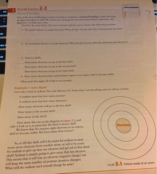 Solved 2 OSC PreLab Exercise 23 Chemical Bonding One of