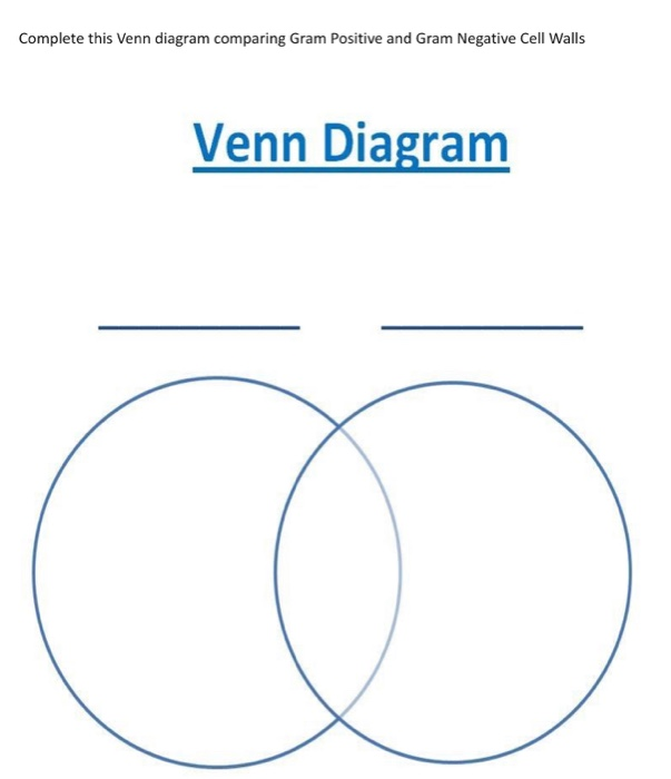 Solved Complete this Venn diagram comparing Gram Positive | Chegg.com