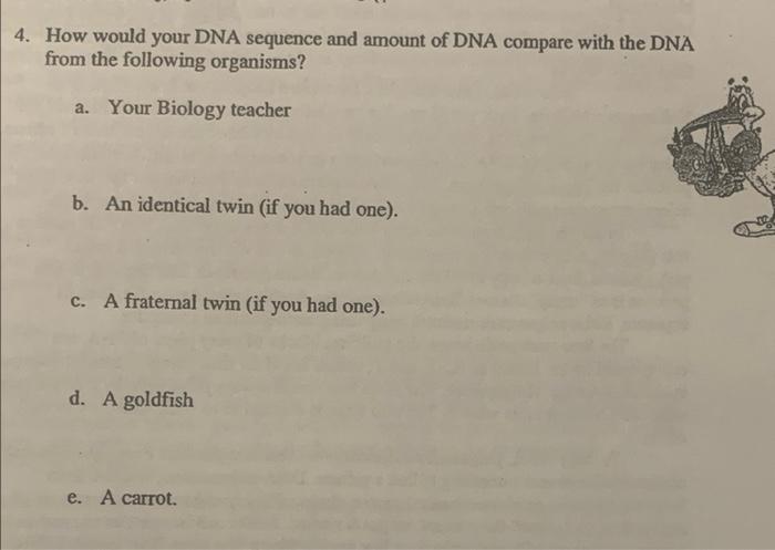 Solved 4. How would your DNA sequence and amount of DNA | Chegg.com